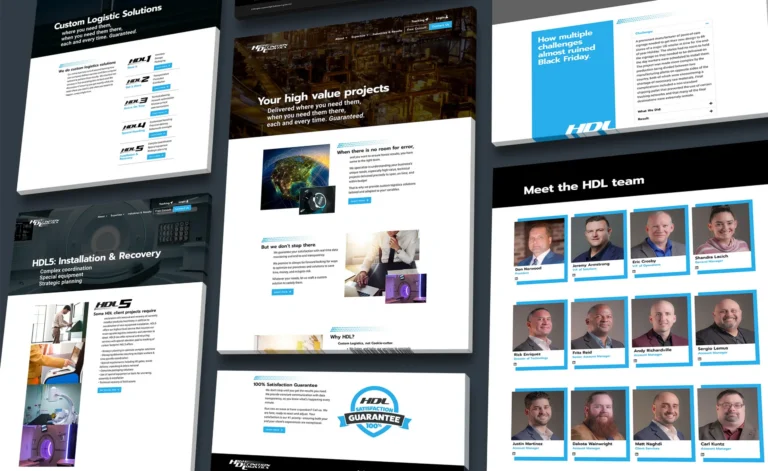 HDL website project